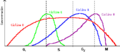 Cyclinexpression waehrend Zellzyklus es