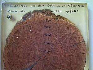Archivo:Dendrochronologie