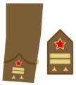 Ejerpopulardivi19