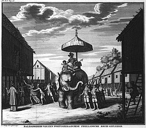 Archivo:Elefante Portugues