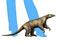 Eurotamandua NT small