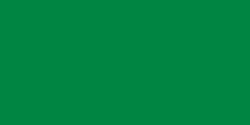 Flag of Libya (1977-2011)