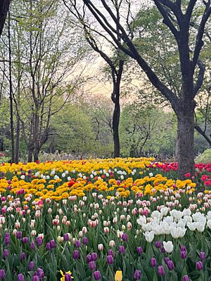 Archivo:Flowers in Seoul Forest Park