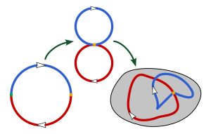 Archivo:Homotopy group addition