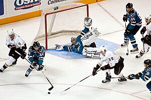 Archivo:Ice Hockey sharks ducks