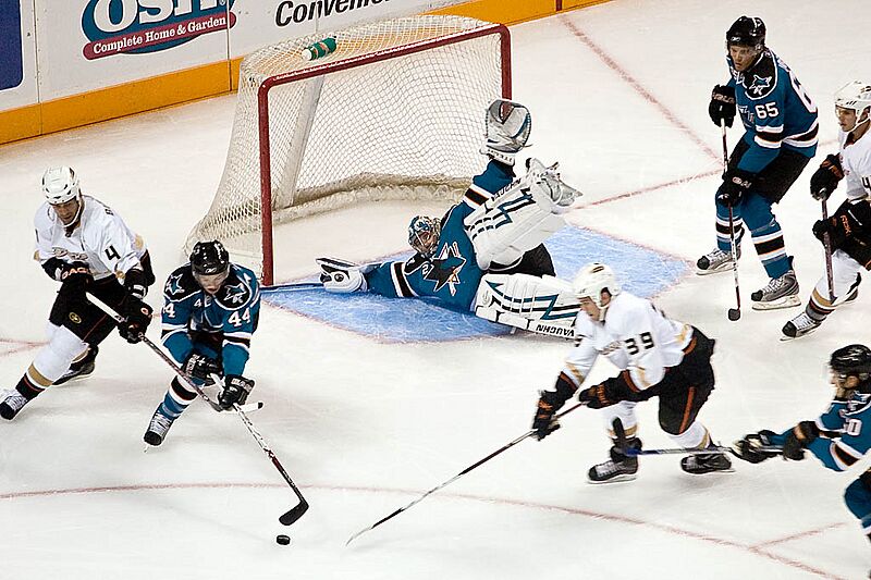 Ice Hockey sharks ducks