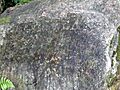 Inscripciones en piedra Isla del Coco