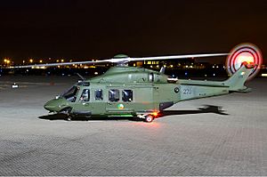 Archivo:Irish Air Corps AgustaWestland AW-139 Lofting