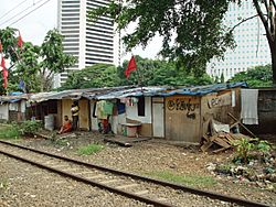 Archivo:Jakarta slumlife9