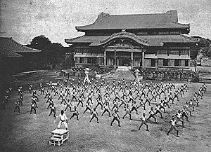 Archivo:Karate ShuriCastle