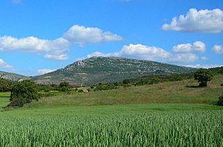 La Modorra34.JPG