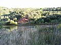 Lago del Encinal Castropodame