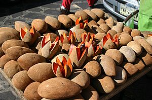 Archivo:Mamey