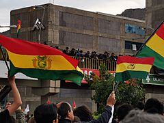 Manifestaciones en Bolivia 2019 (6)
