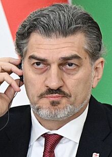 Mikheil Kavelashvili (cropped).jpg