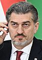 Mikheil Kavelashvili (cropped)