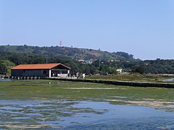 Archivo:Molino de marea de santa Olaja