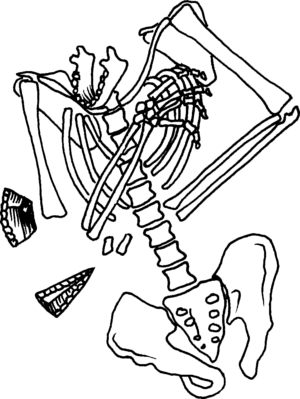 Archivo:Neanderthal-burial