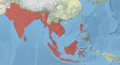 Oriental Darter Range