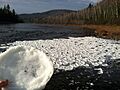 Pancake ice on the Allagash River, Maine
