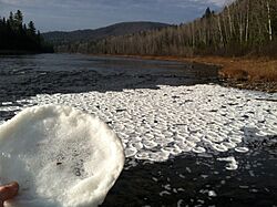 Pancake ice on the Allagash River, Maine.jpg