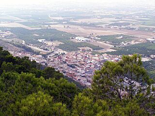 Panorámica Arneva.jpg