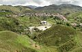 Panoralejandria