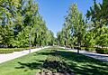 Parque del Retiro, Madrid, España, 2017-05-18, DD 15