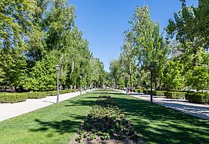 Archivo:Parque del Retiro, Madrid, España, 2017-05-18, DD 15