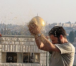 Archivo:PikiWiki Israel 38212 Throwing wheat with the background of the Temple M