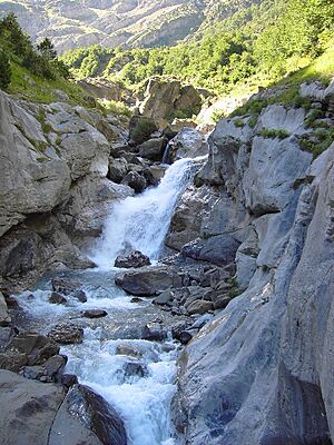 Archivo:Pineta - Cascada en el nacimiento del cinca