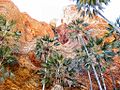 Purnululu National Park DSC03767