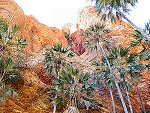 Archivo:Purnululu National Park DSC03767