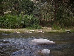 Rio ̠Rionegro ̠Santander.JPG