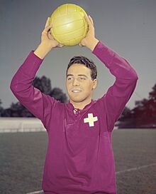 Roger Vonlanthen (1954).jpg