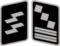 SS-Hauptsturmführer Collar Rank