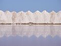 Salt mounds - Dry Creek
