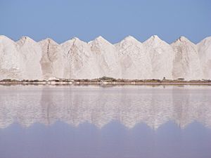Archivo:Salt mounds - Dry Creek