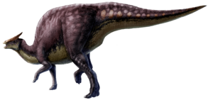 Archivo:Saurolophus scalation