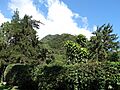 Scenery in El Valle de Anton (02)