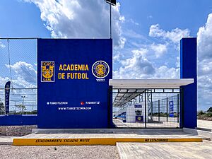 Archivo:Tigres Tizimín