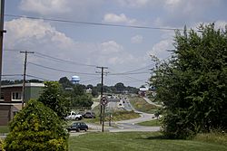 U.S. Route 29 in Madison Heights.jpg
