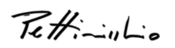 Umberto Pettinicchio signature.png