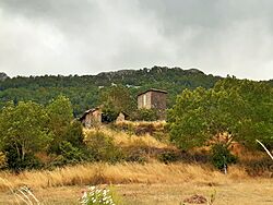 Urdirotz - Artzi (7).jpg