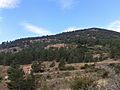 Vista de Peñazcurna
