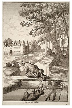 Archivo:Wenceslas Hollar - The dog and his reflection