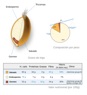 Archivo:Wheat-kernel nutrition-es