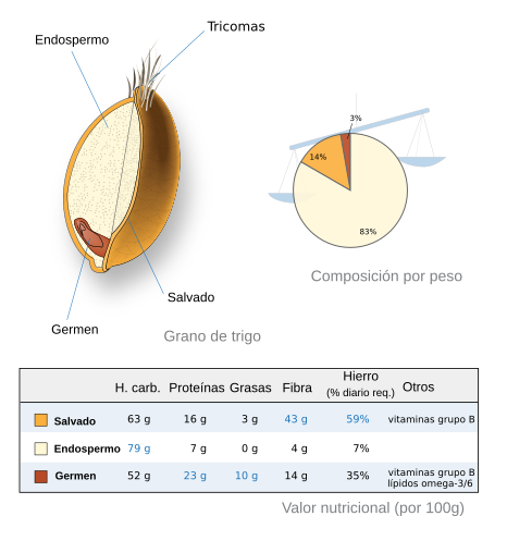 Wheat-kernel nutrition-es.svg