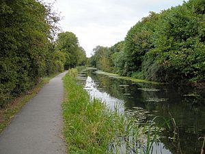 Archivo:Wilts-and-Berks-Canal-Swindon