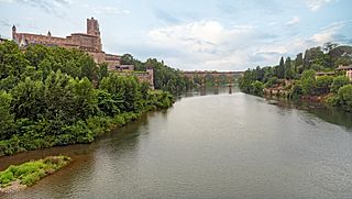 (Albi) Le Tarn vu du vieux pont vers l'ouest.jpg